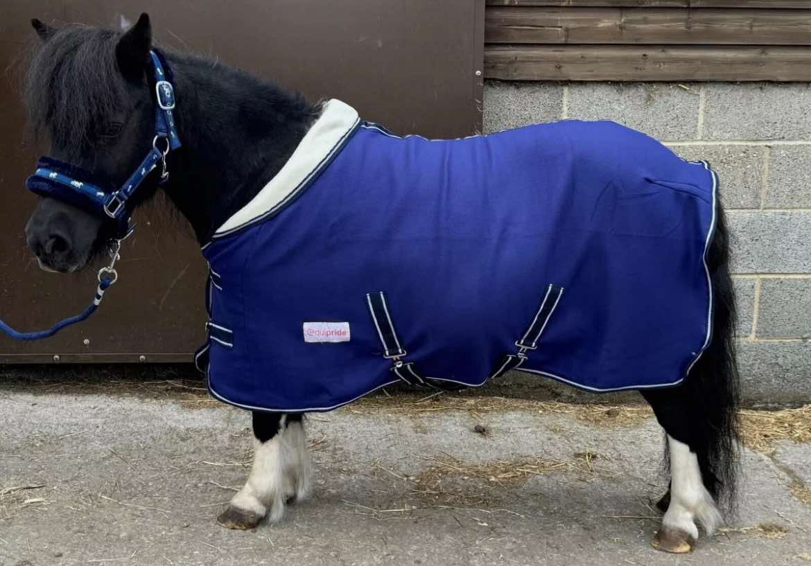 Equipride - Economy Fleece Rug with Collar