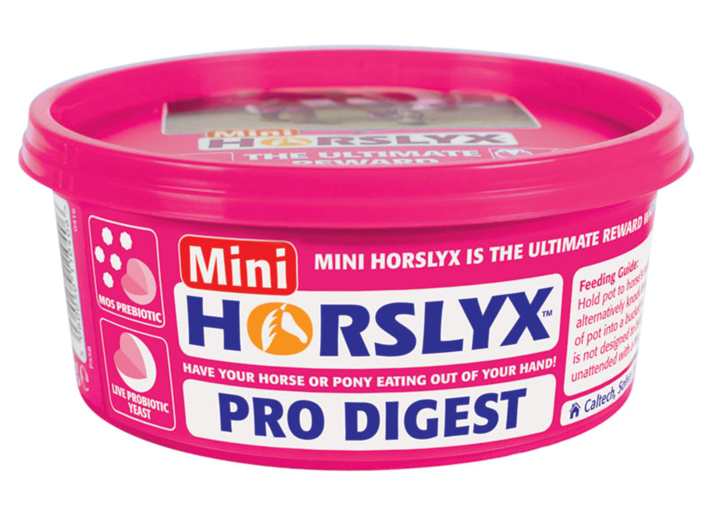 Mini Horslyx