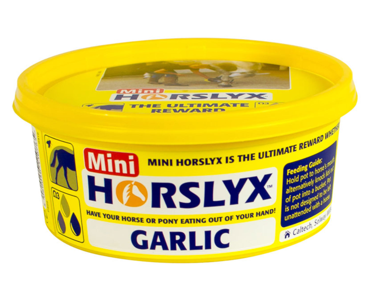 Mini Horslyx