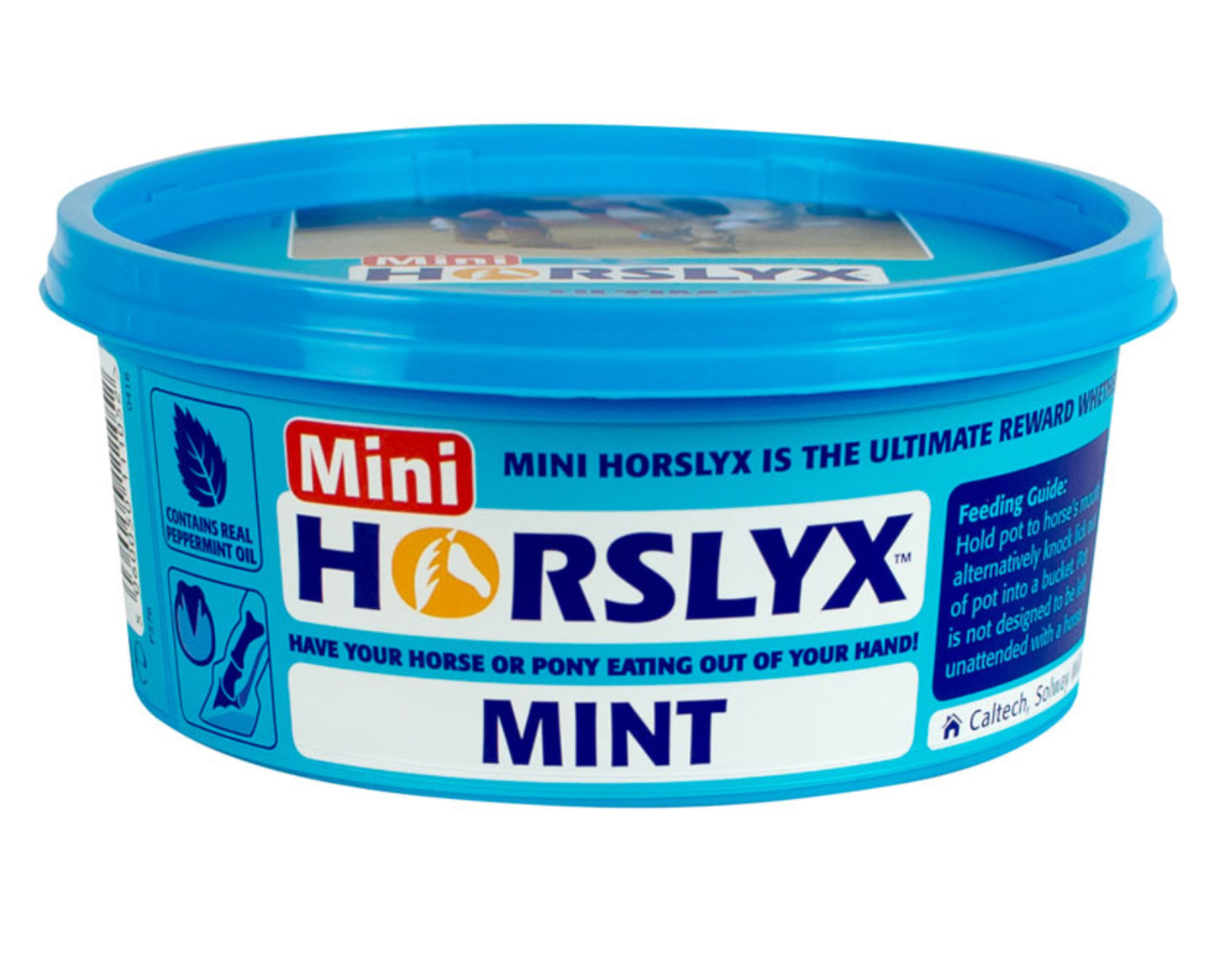 Mini Horslyx