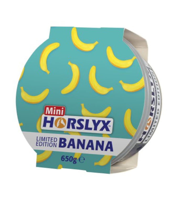 Mini Horslyx