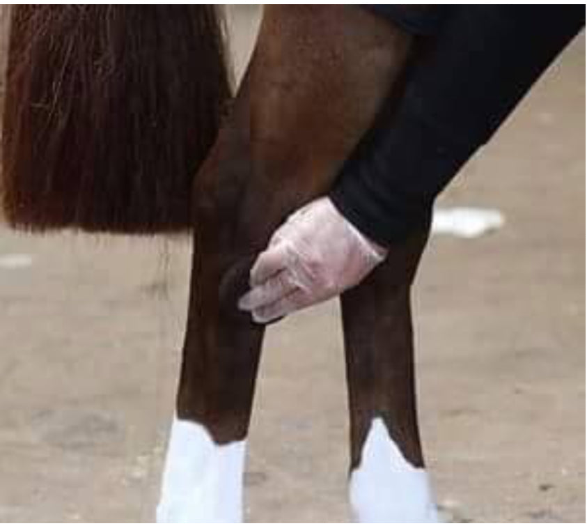 Mp Gloss Xtreme Sox Powder