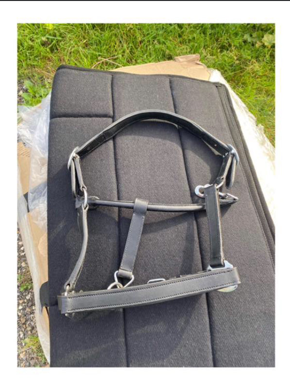 Midspirit Equestrian - Leather Head Collar