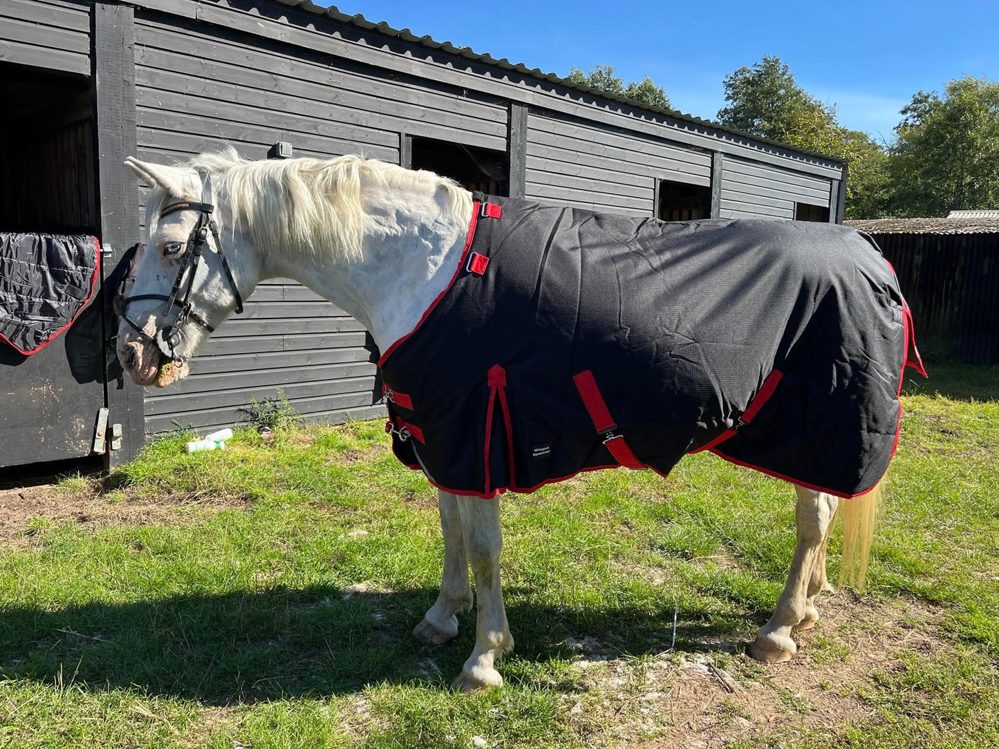 Midspirit - Dual Turnout Rug 250g