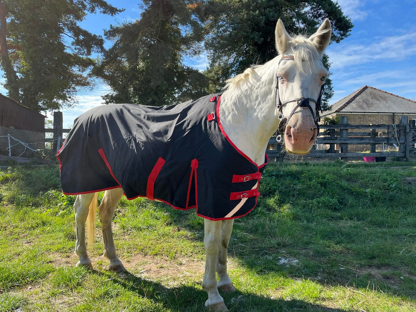 Midspirit - Dual Turnout Rug 250g