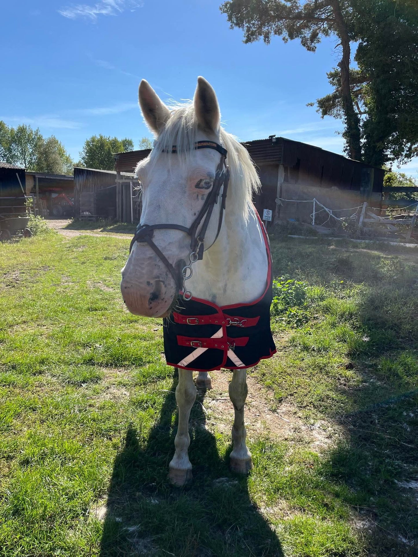Midspirit - Dual Turnout Rug 250g