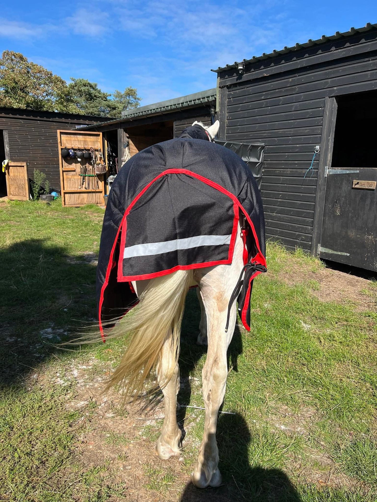 Midspirit - Dual Turnout Rug 250g