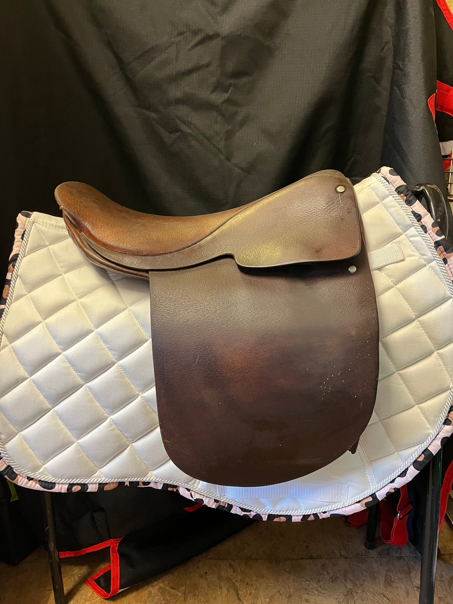 Hayes Cheshire Straight Cut Show Saddle 15.5/16"