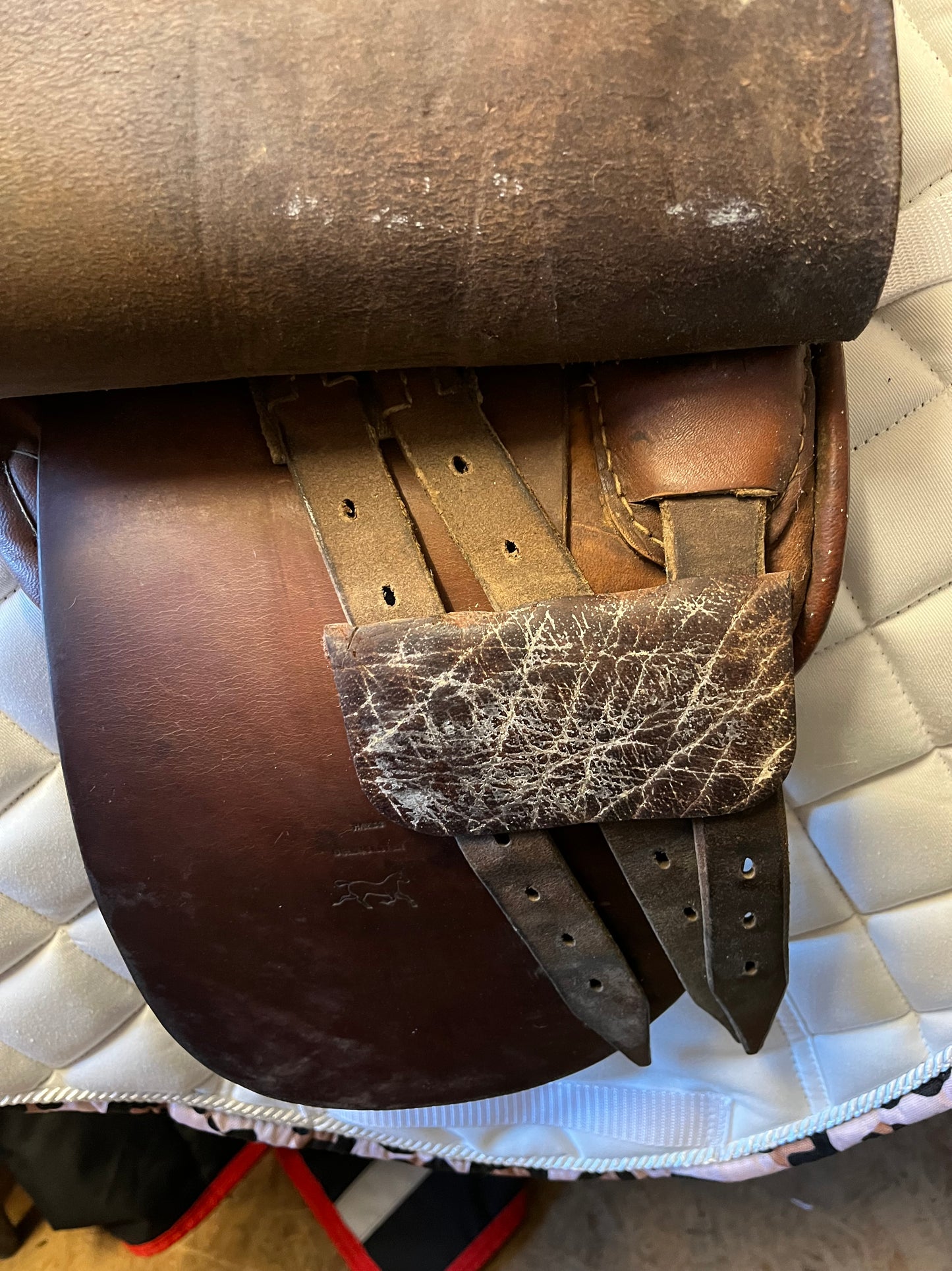 Hayes Cheshire Straight Cut Show Saddle 15.5/16"