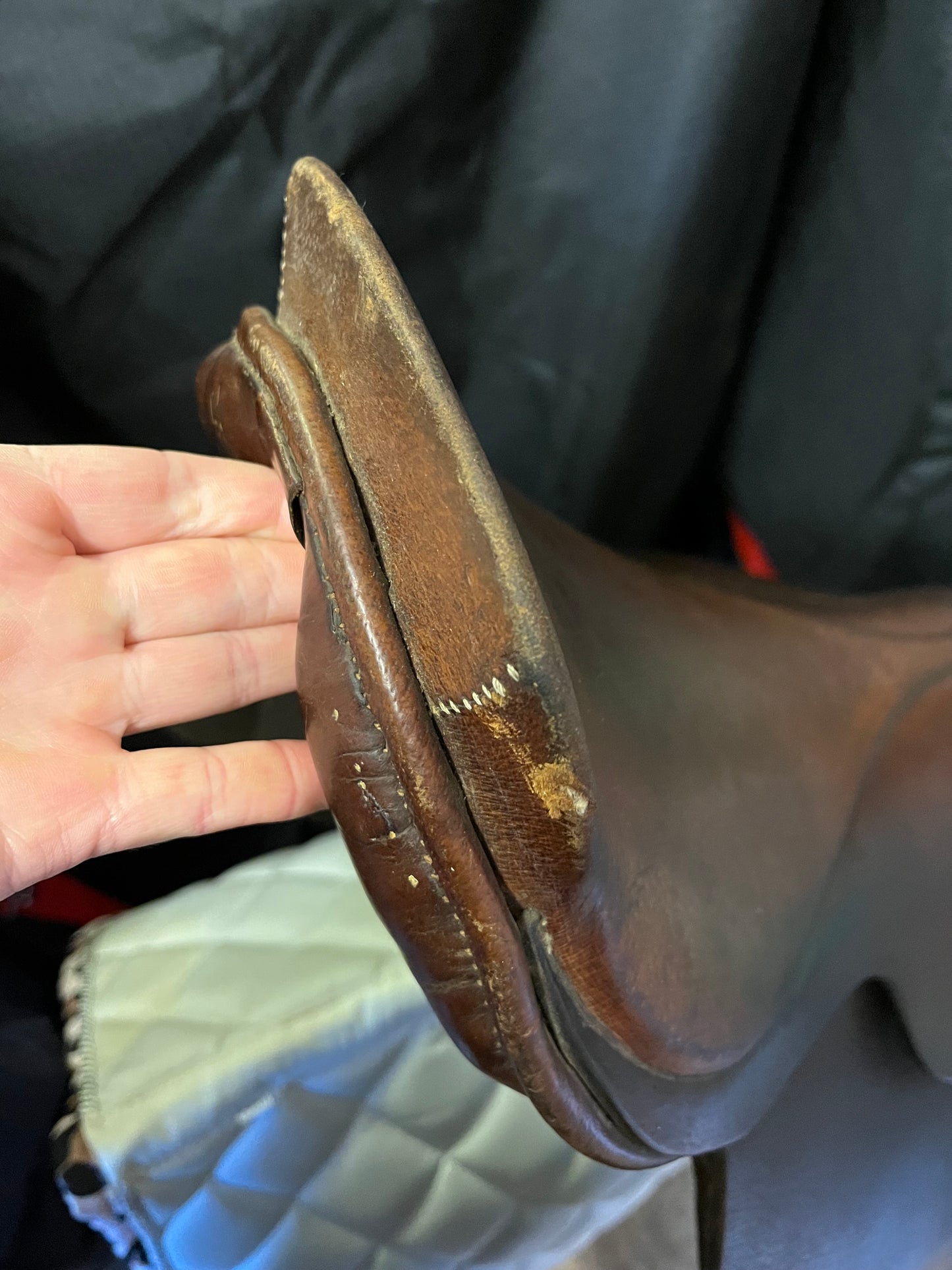 Hayes Cheshire Straight Cut Show Saddle 15.5/16"