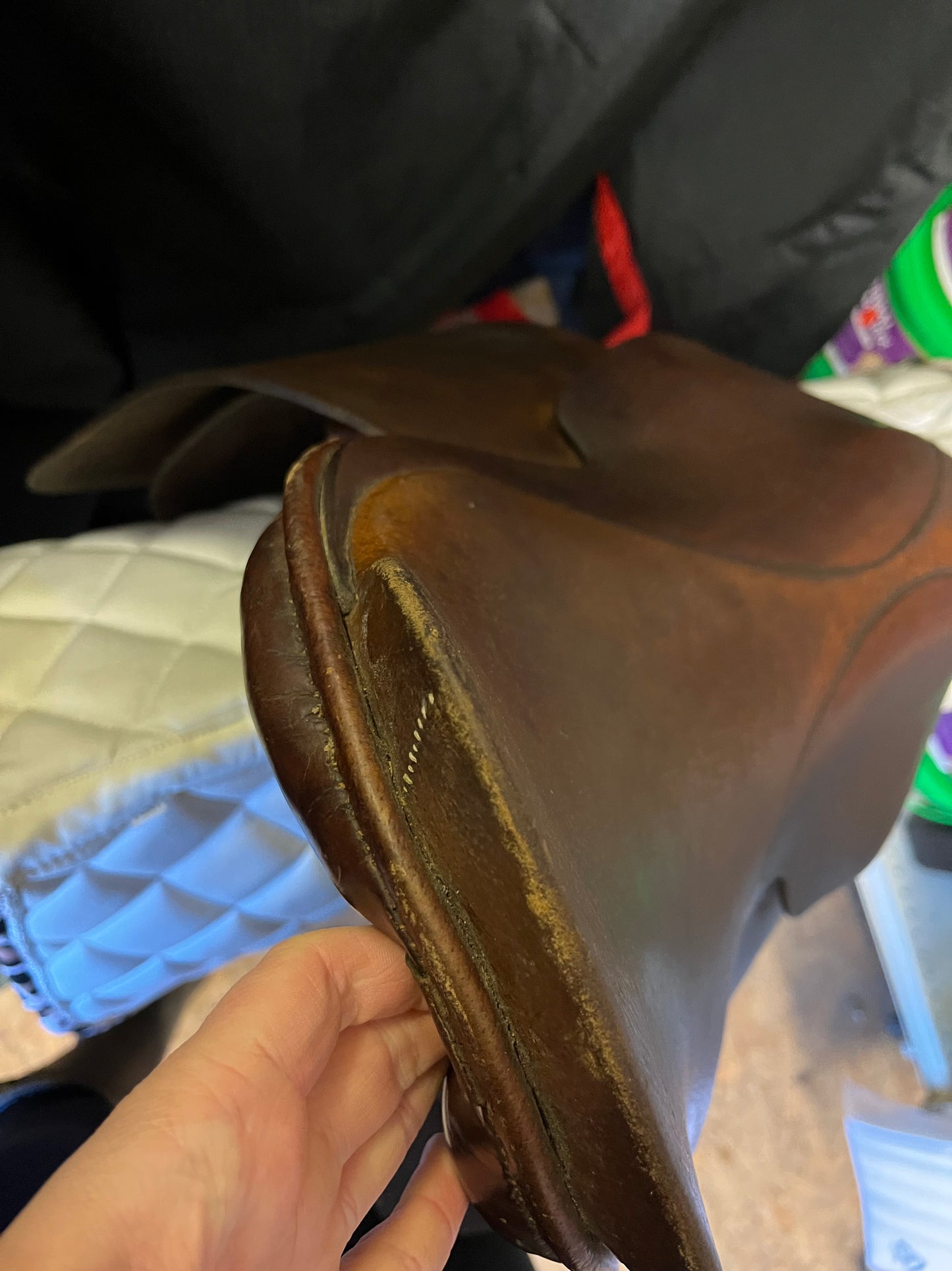 Hayes Cheshire Straight Cut Show Saddle 15.5/16"