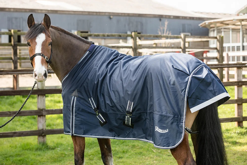 Rhinegold Arizona Turnout Rug 100g