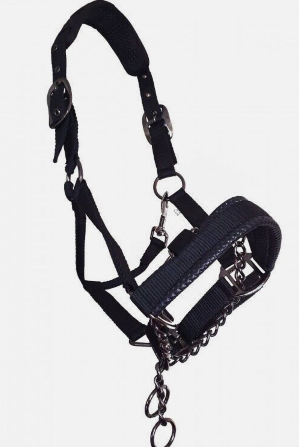 Sheldon - Padded Control Headcollar