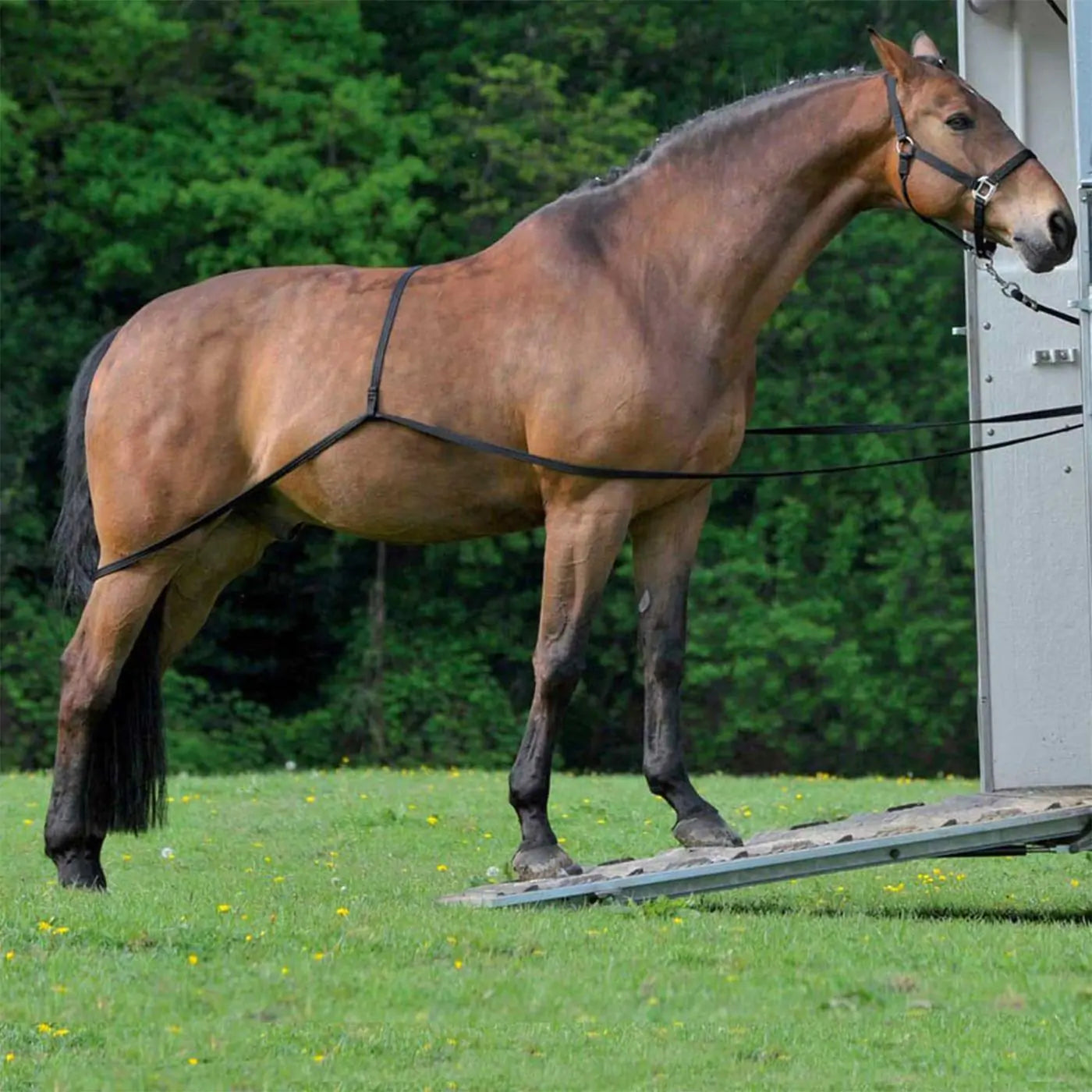 Equipride - Loading Aid