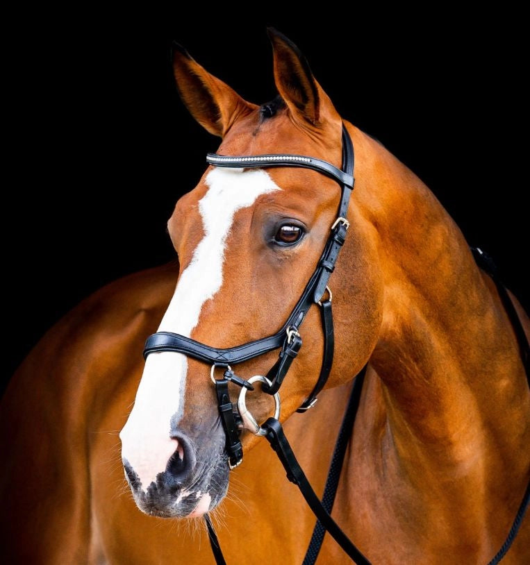 Rambo Micklem Diamante Competition Bridle