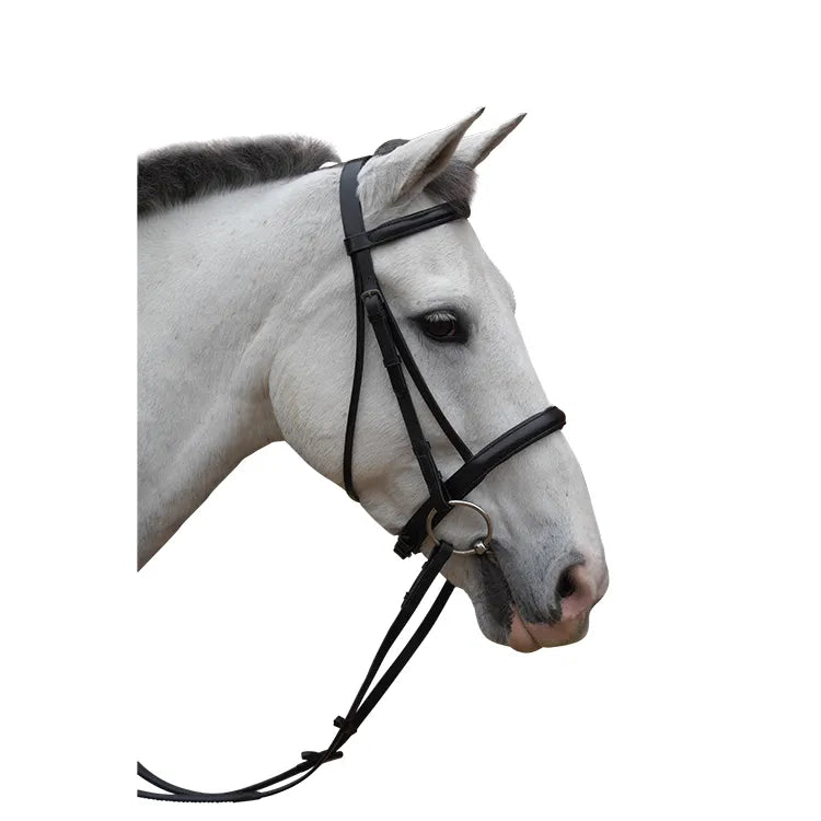 HY Padded Cavesson Bridle With Reins