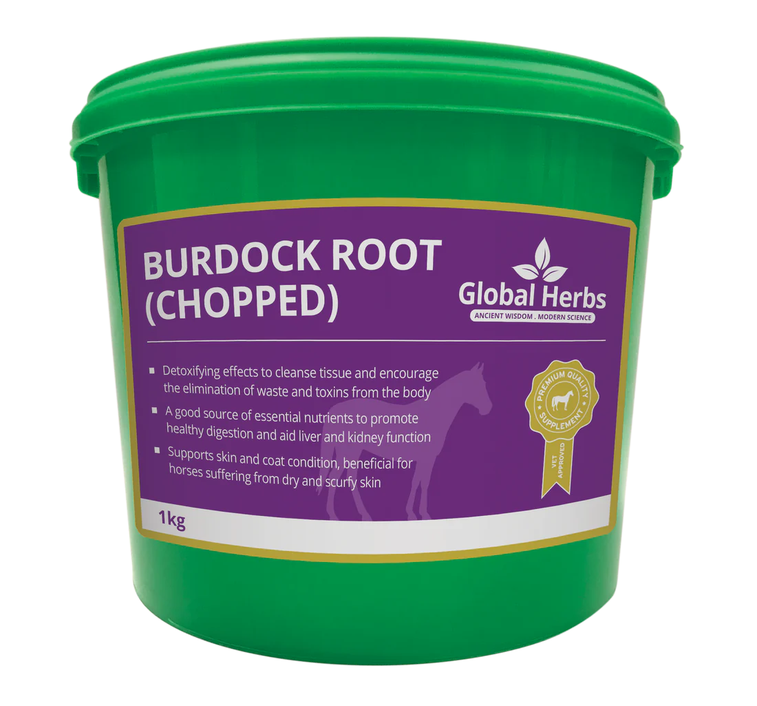 Global Herbs - Burdock Root (chopped)