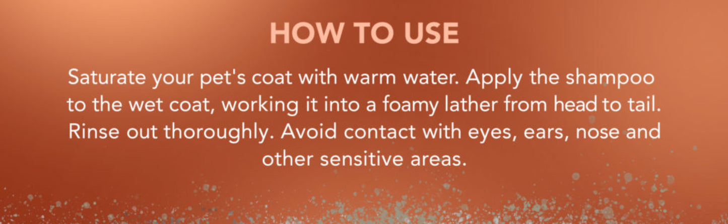 Wahl - Dirty Beastie Shampoo