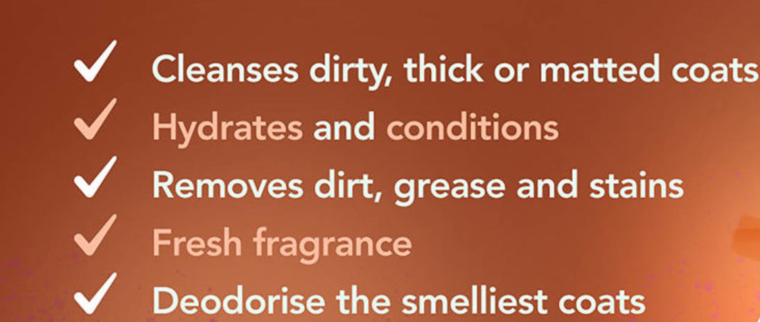 Wahl - Dirty Beastie Shampoo