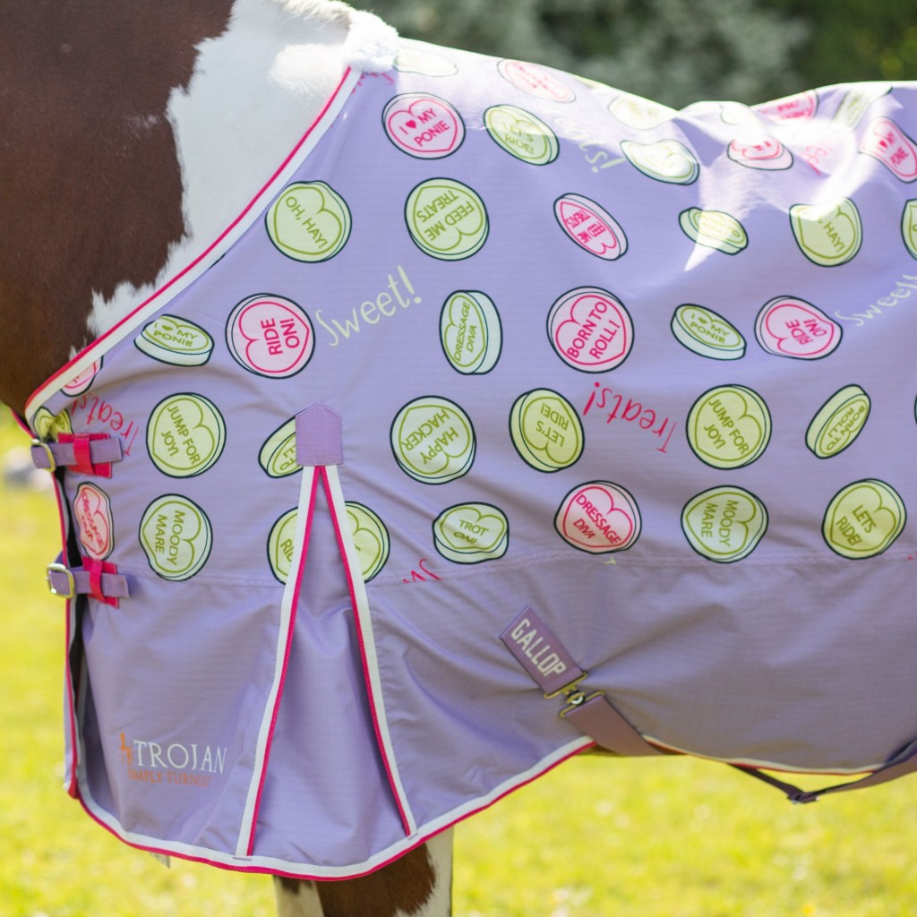 Gallop Sweet Treats 0g Turnout Rug