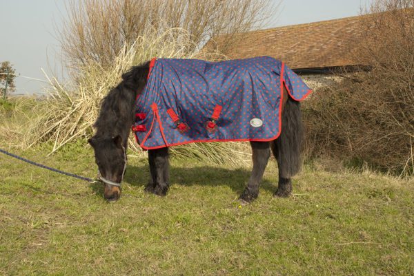 Rhinegold Torrent Dottie Foal Turnout Rug Lightweight