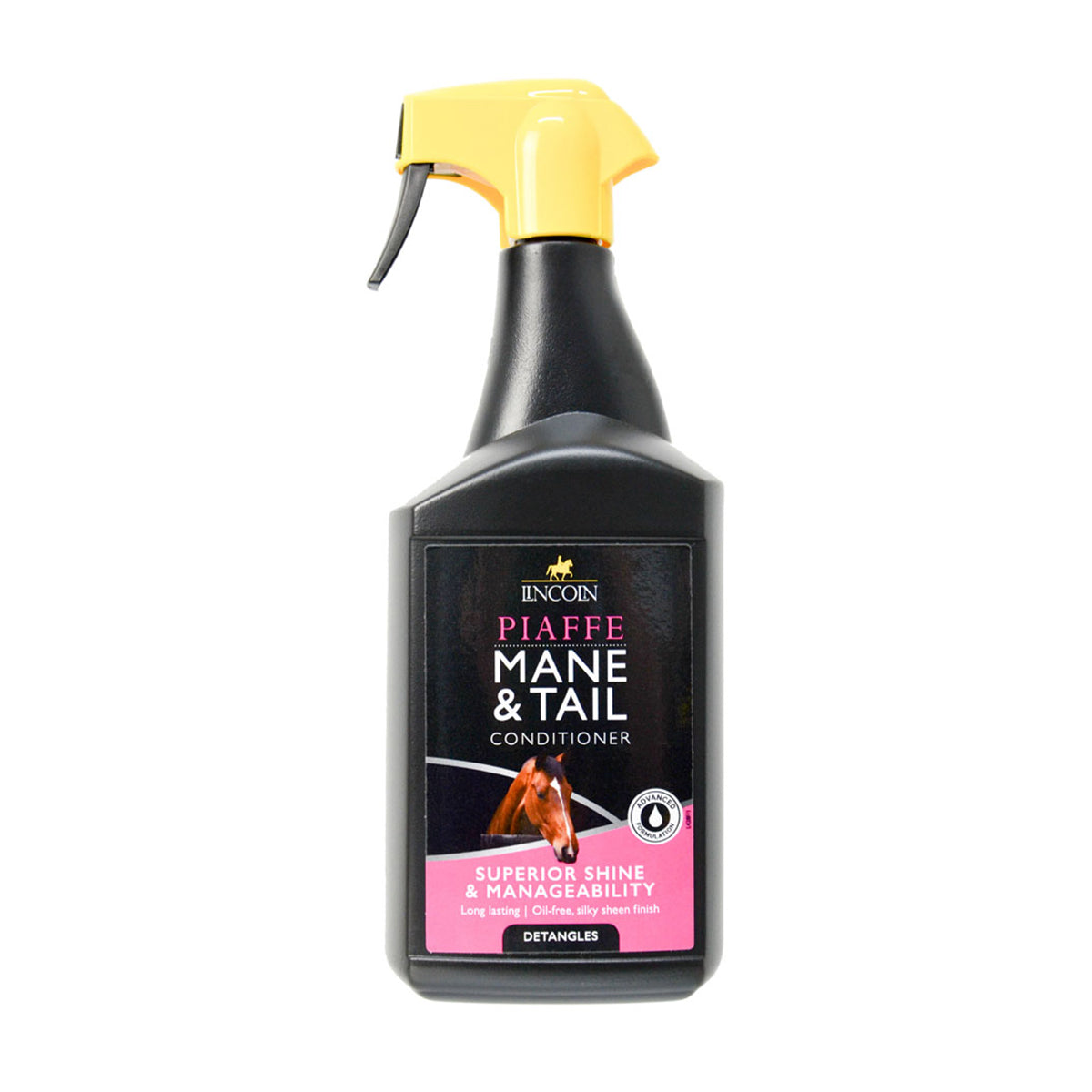 Lincoln - Piaffe Mane & Tail Conditioner
