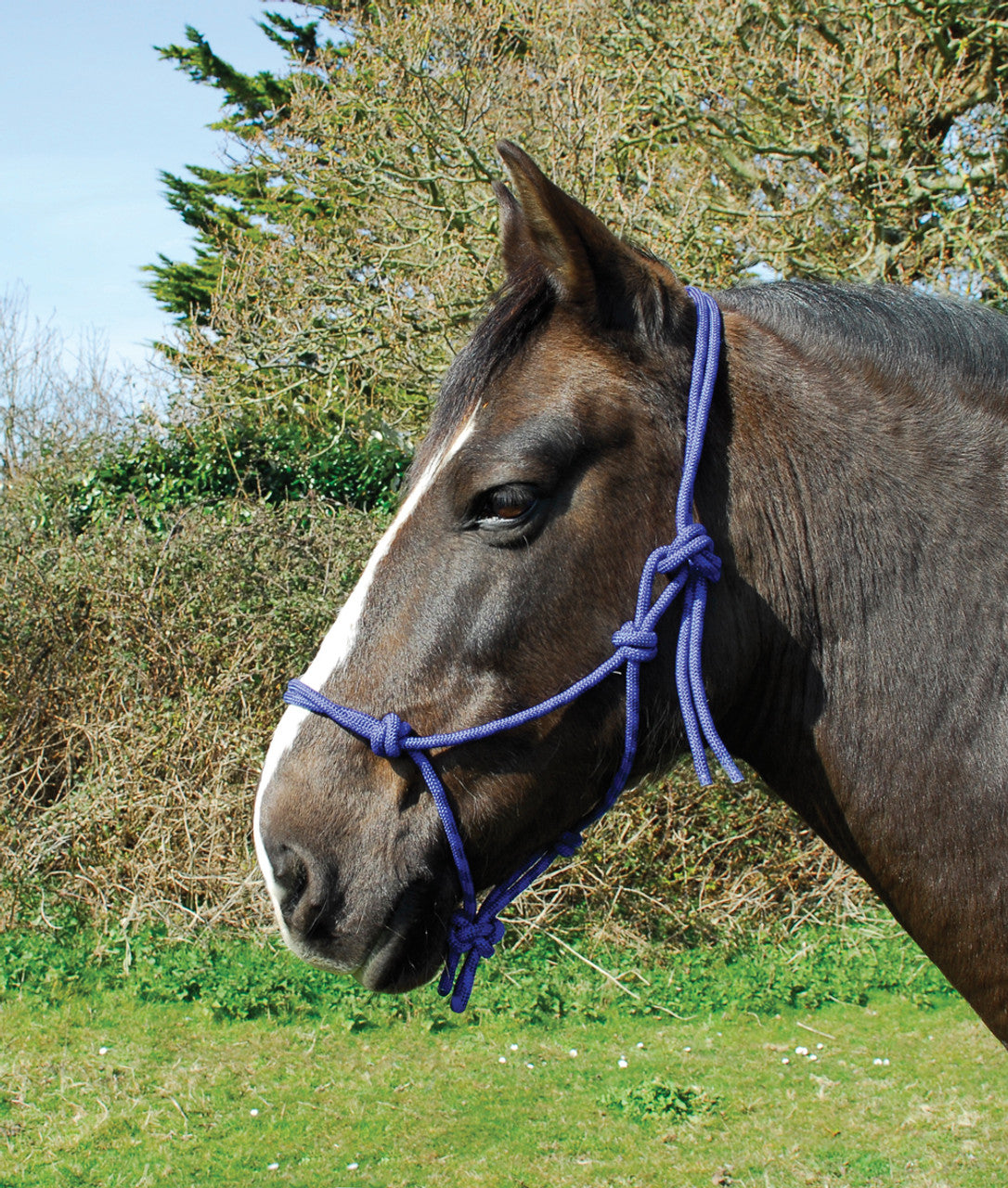 Rhinegold - Rope Halter/Headcollar
