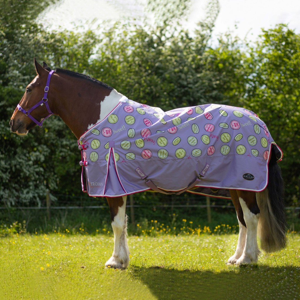Gallop Sweet Treats 0g Turnout Rug