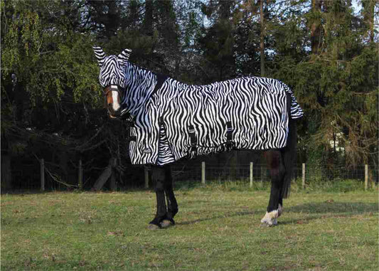 Jump Fly Rug