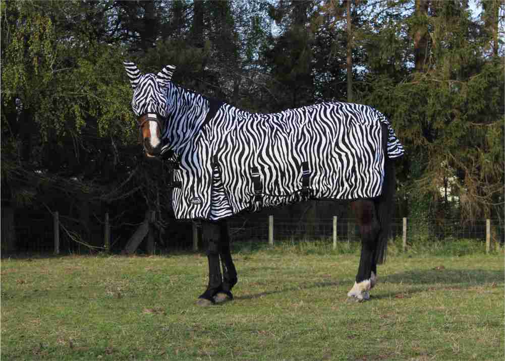 Jump Fly Rug