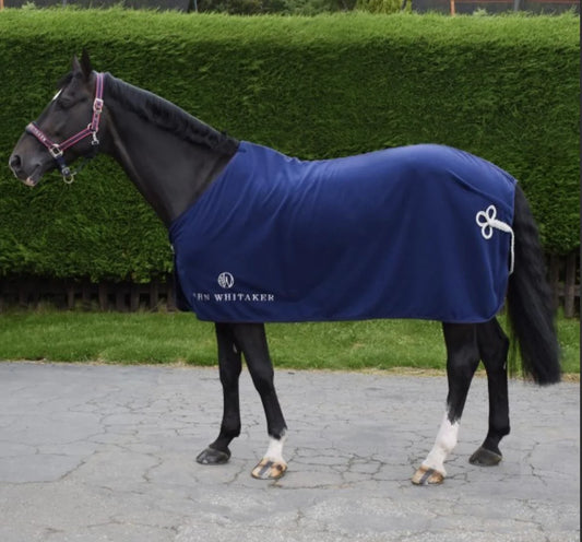 Whitaker Helsinki Show Rug