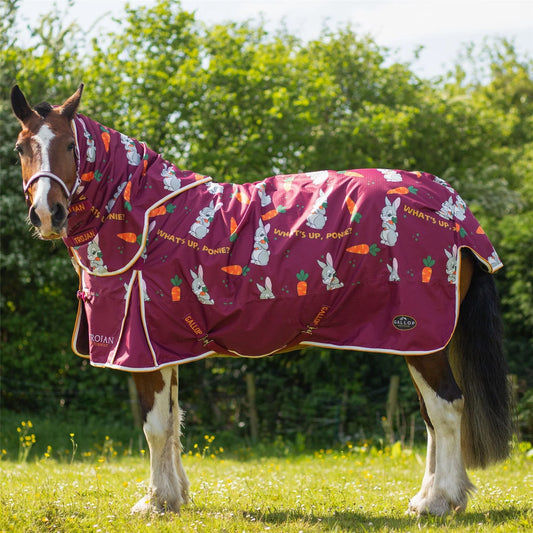 Gallop Trojan Bunnies & Carrots Dual Turnout Rug