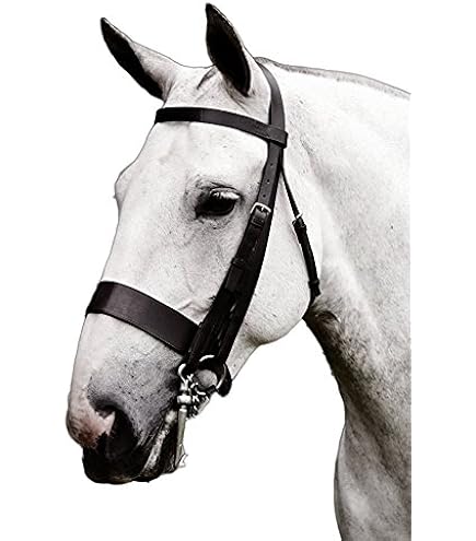Equipride Plain Hunt Bridle & Reins