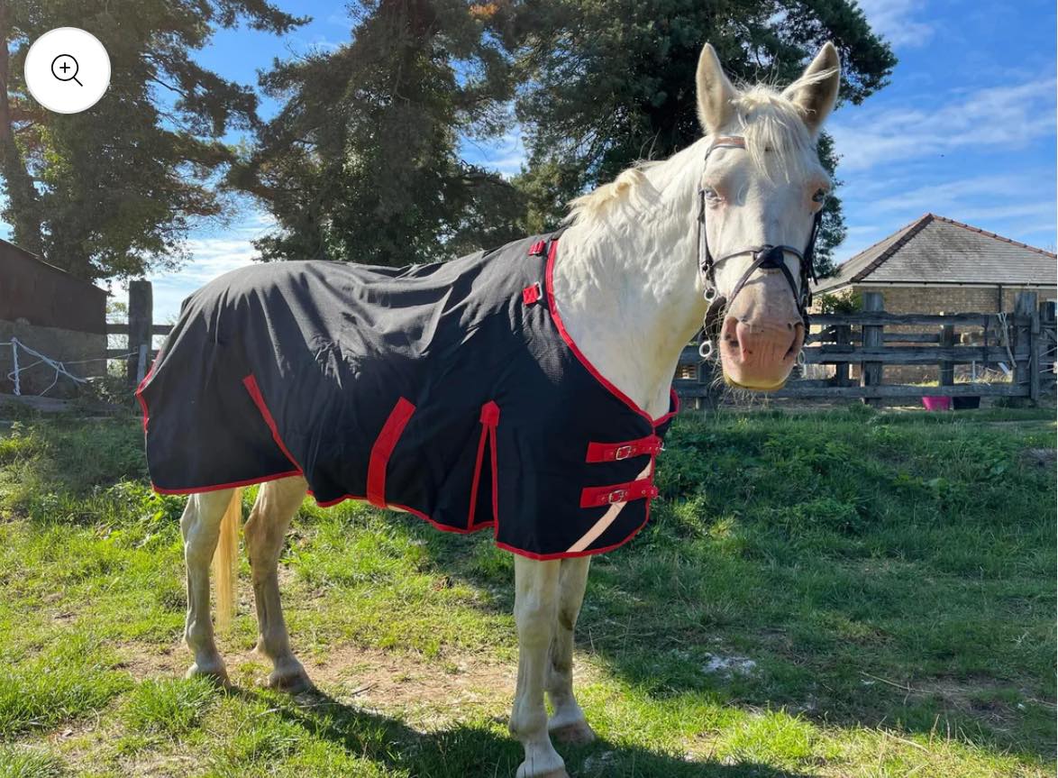 Midspirit Standard Neck Turnout Rug 200g