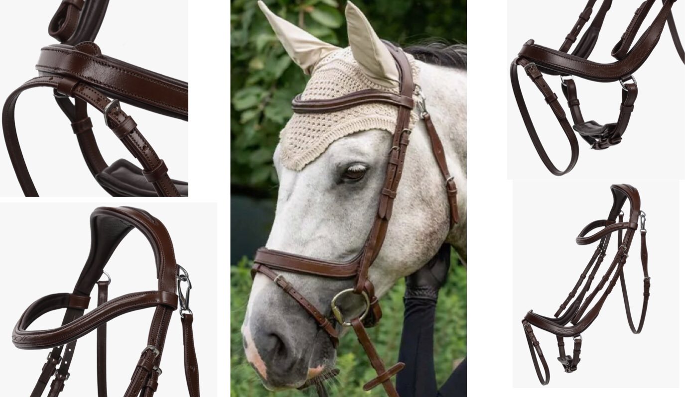 QHP Salerno Bridle with Reins