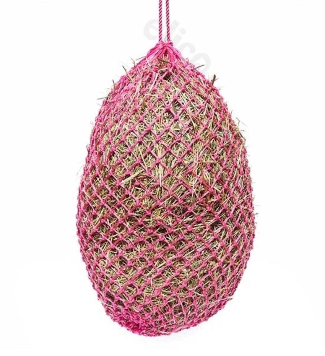 Micro Piggy Net