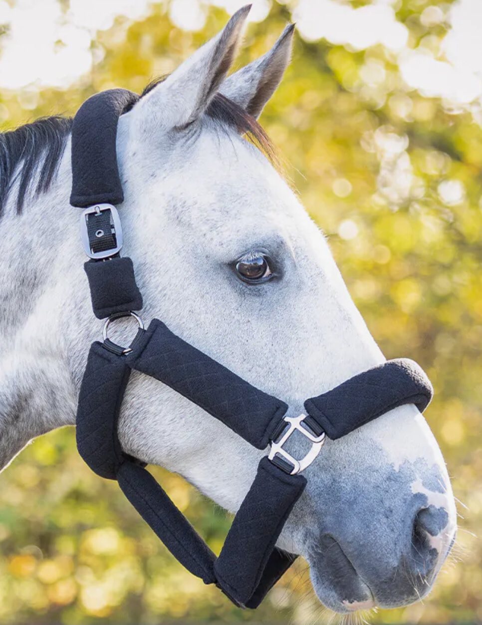 QHP Head Collar Set - Zahra Collection