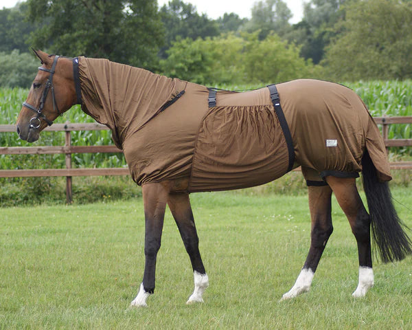 QHP Eczema Rug