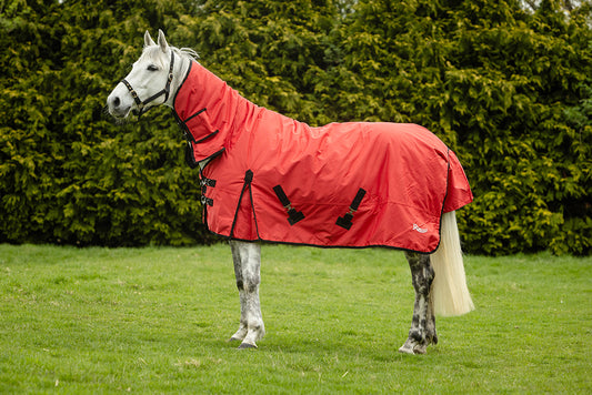 Rhinegold Konig 200g Combo Outdoor Rug
