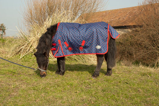 Dottie Foal Torrent Lightweight Outdoor Rug