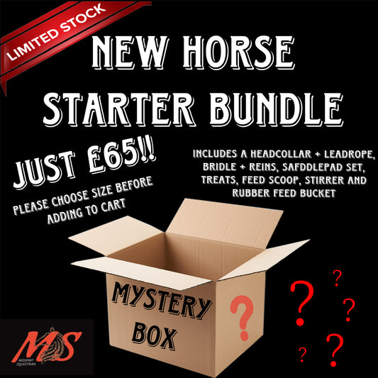 New Horse Mystery Starter Bundle