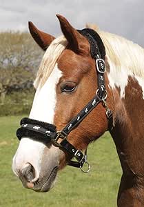 Rhinegold - Logo Fleece Headcollar