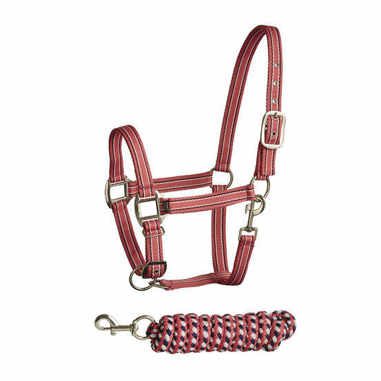 Bitz - Two Toned Striped Headcollar With Leadrope