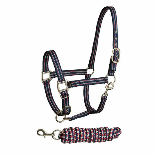 Bitz - Two Toned Striped Headcollar With Leadrope