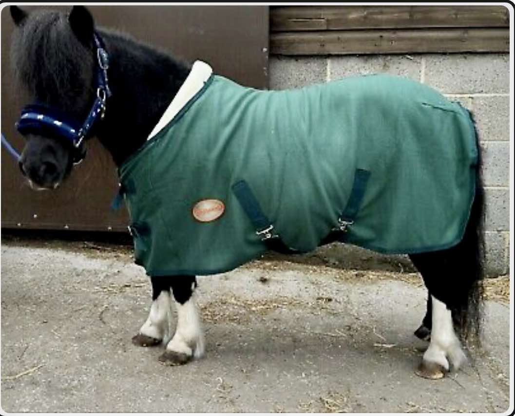 Equipride -  Economy Fleece Rug with Collar