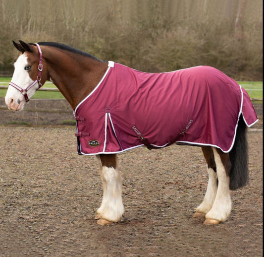 Gallop Summer Sheet