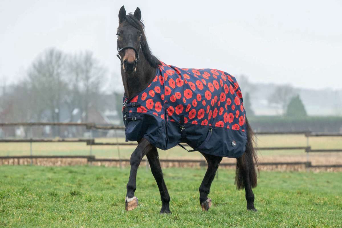 HKM Poppy Turnout Rug 100g