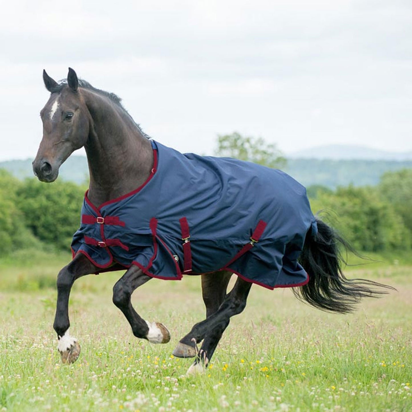 Gallop Trojan 50g Turnout Rug