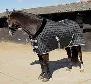 Rhinegold Michigan Stable Rug 300g