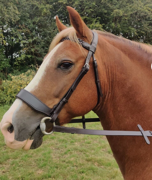 Elano Anatomical Plaited Hunt Bridle & Reins